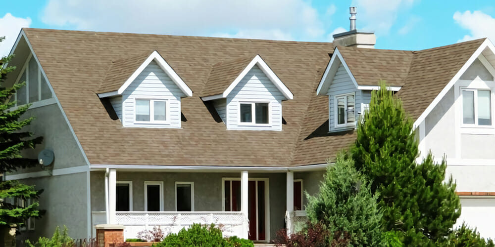 Blue Rhino Roofing Featured Image